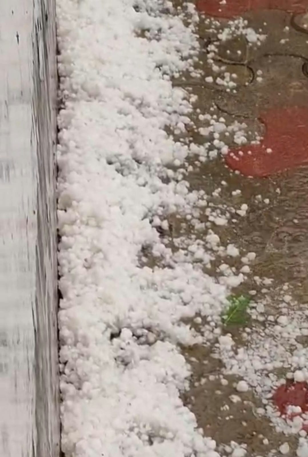 तोशाम क्षेत्र के गांव सरल में हुई ओलावृष्टि। 