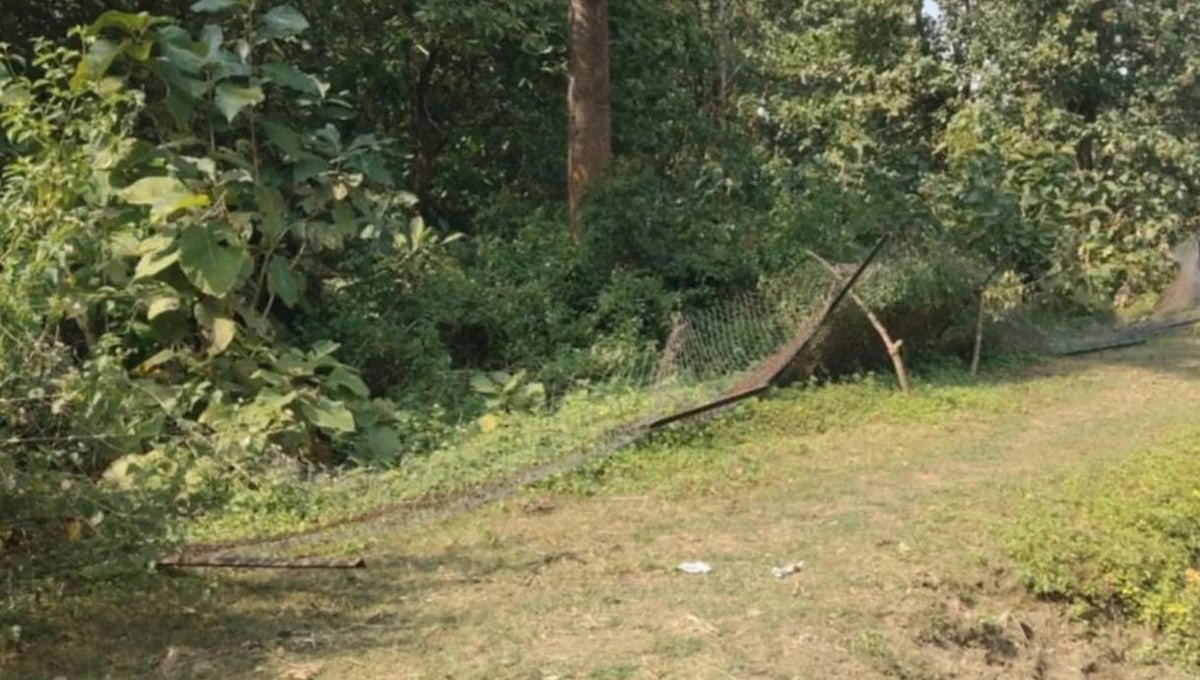 Bahraich News: हाथियों ने तोड़ी चेनलिंक फेंसिंग, गजमित्रों ने खदेड़ा