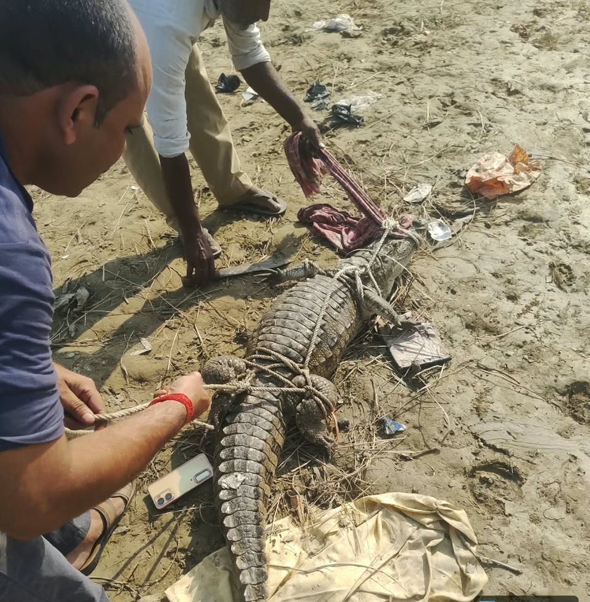 Bahraich News: ताजपुर गांव के तालाब में मिला मगरमच्छ, दहशत