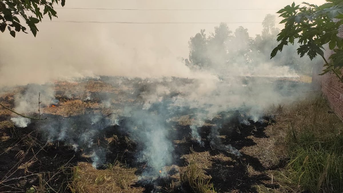 Gonda News: प्रतिबंध के बावजूद कई बीघे में जलाई पराली