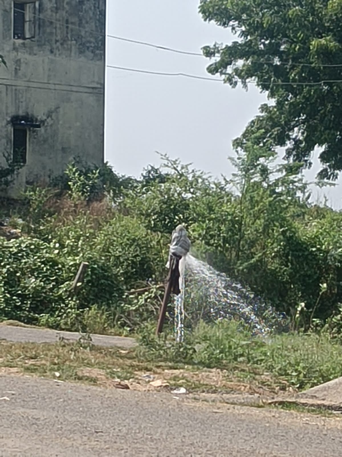 Jhansi News: हर घर जल योजना बनी शोपीस, पानी का इंतजार