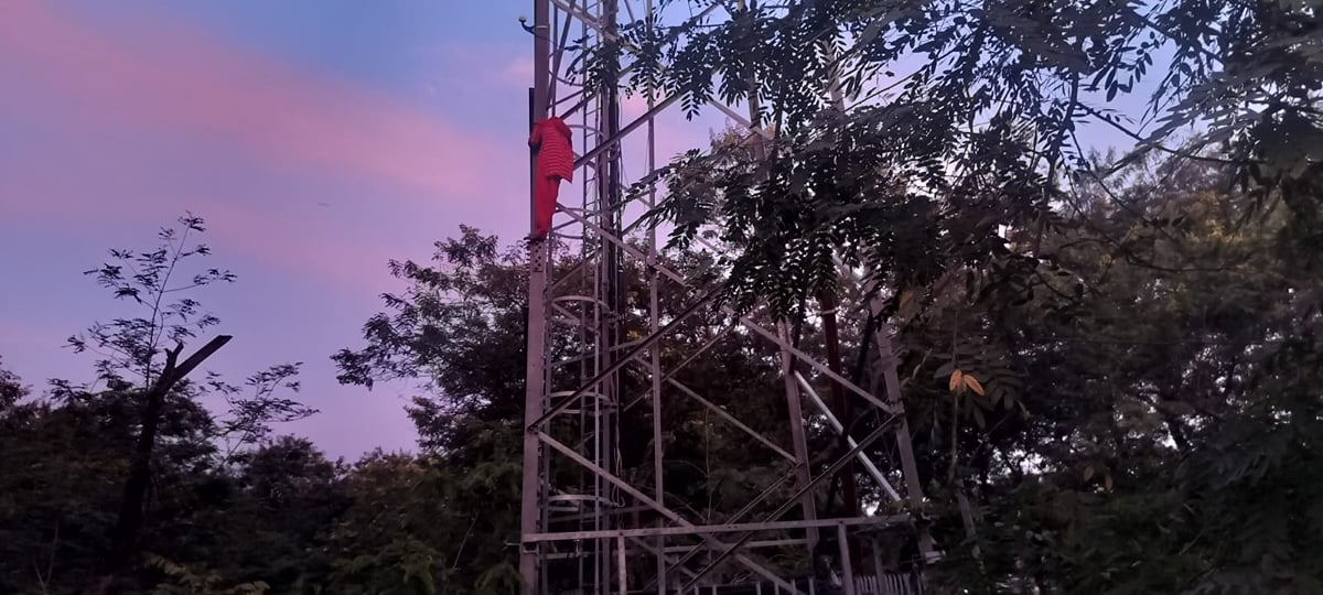 सिंगरौली: प्रेमी से नाराज होकर मोबाइल टॉवर पर चढ़ी युवती, डेढ़ घंटे की मशक्कत के बाद सुरक्षित उतारा