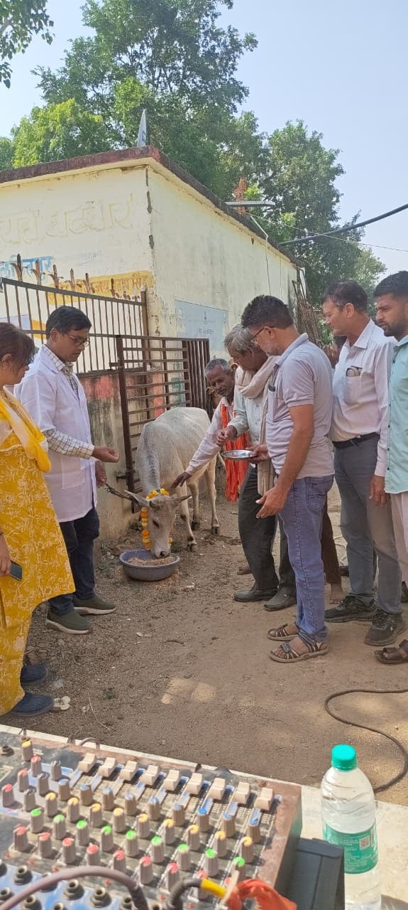Lalitpur News: पशु चिकित्सा शिविर और मेले का आयोजन