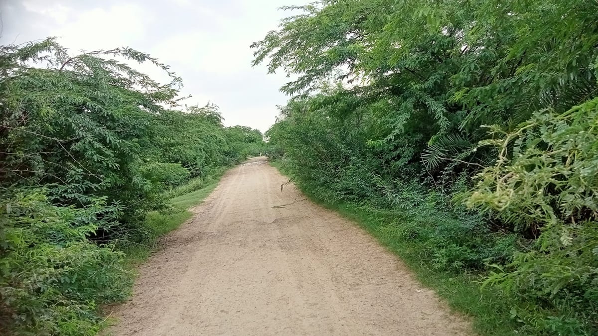 Hamirpur News: ग्रामीण सड़कें ध्वस्त... कब मिलेगी गड्ढों से निजात