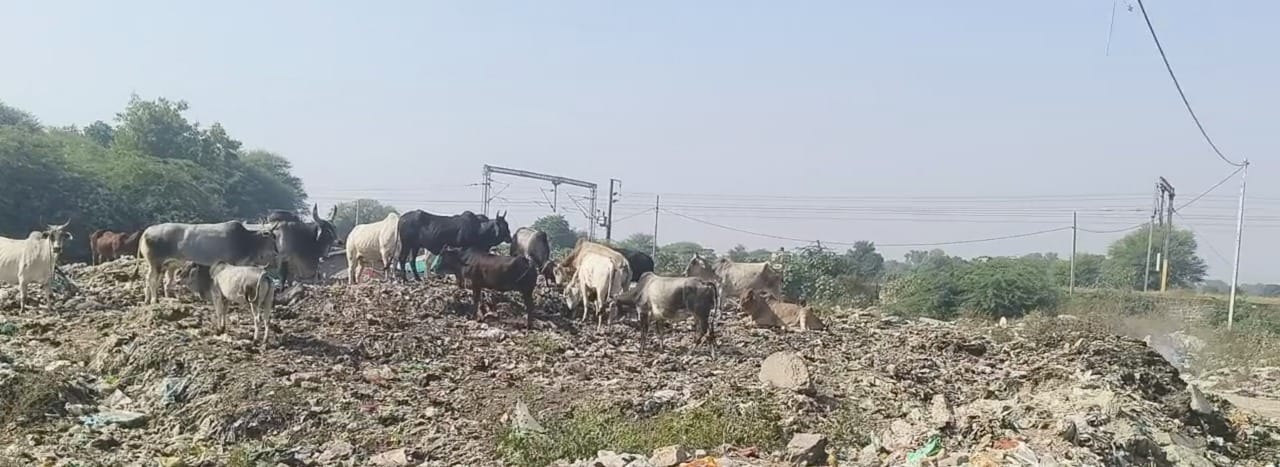 खाली प्लॉट में एकत्रित कूड़े के ढेर। स्रोत : स्थानीय नागरिक