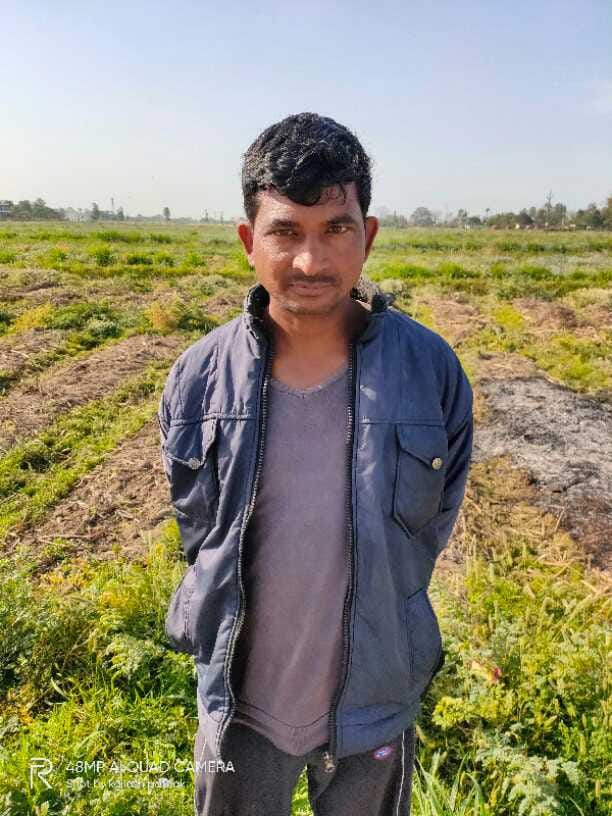 workers are in trouble due to corona