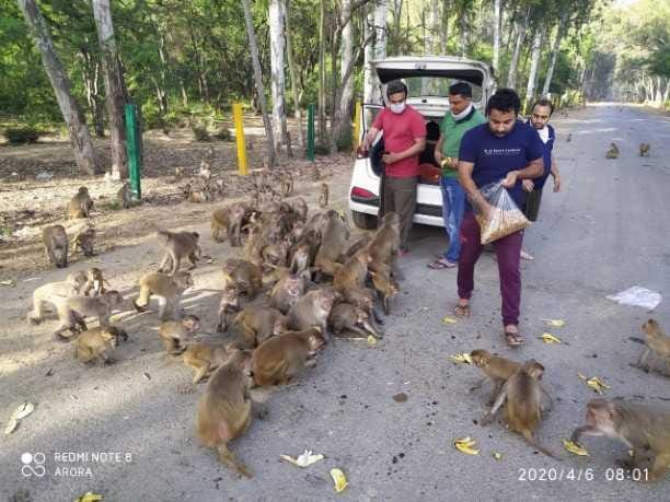 youth feeding monkeys to on lockdown