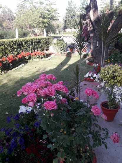 Gardening is fine but cleaning the pots and plants, lock down
