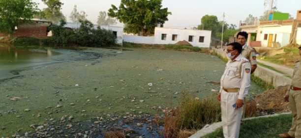 10 tortoise dead