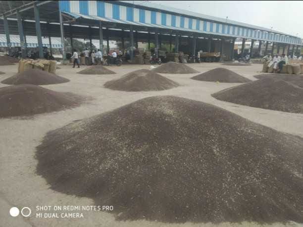 seven center's will be procured under narnaul market committee, name of villages released