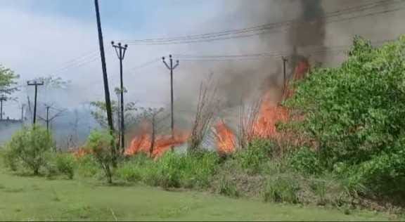 Fire bursts in bushes behind Titan Company