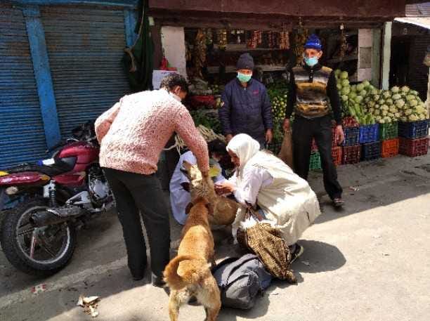 Treatment of sick laborers started in Ranikhet
