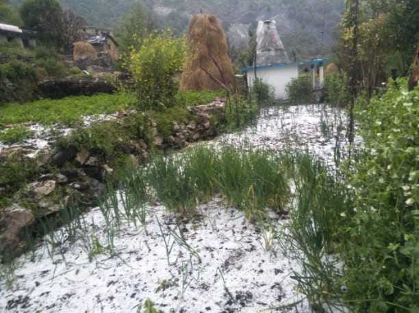 Hail to crops in high Himalayan regions