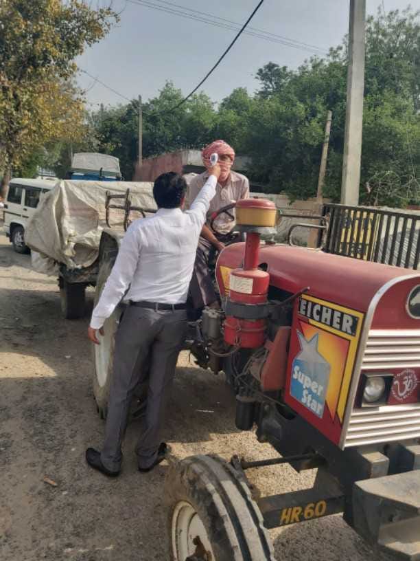 purchase mustard in market