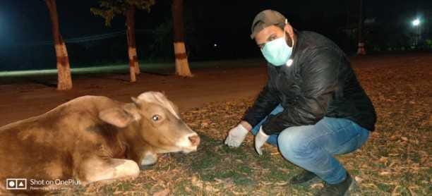 animals responsibilit take youths