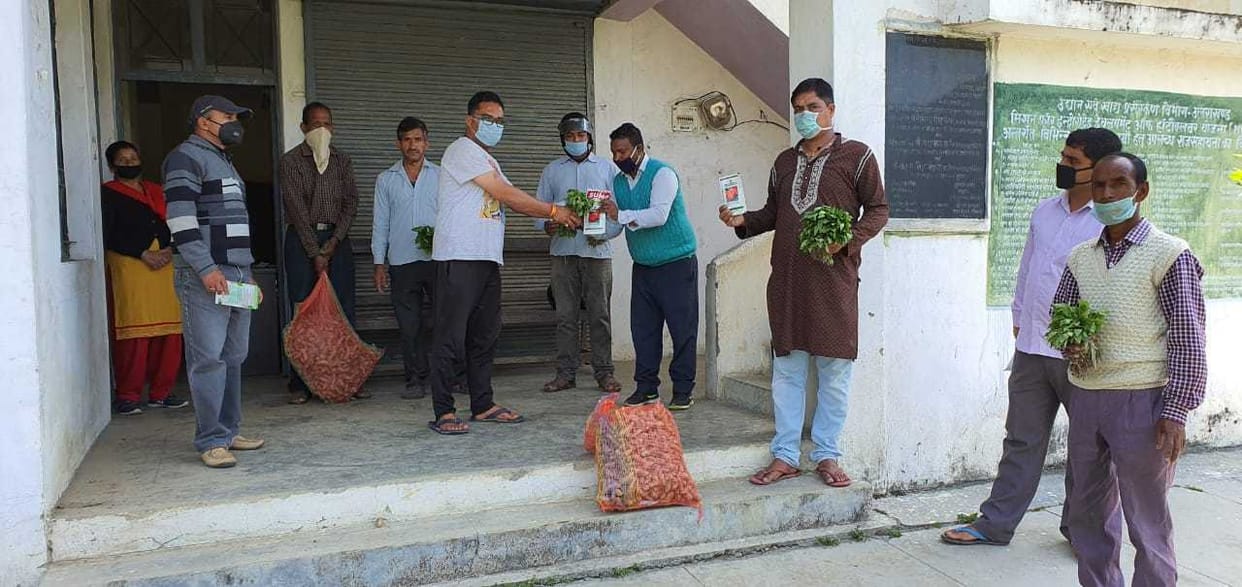 Horticulture department distributed seeds of vegetables to farmers