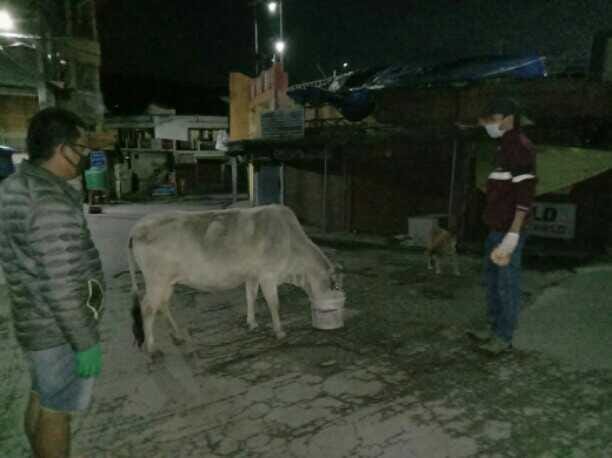 Bread bank is providing H to animals