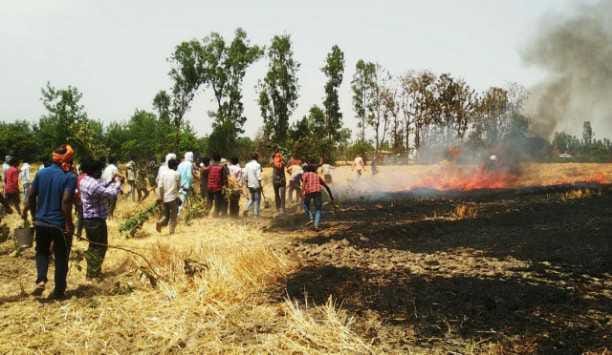fire in wheat field