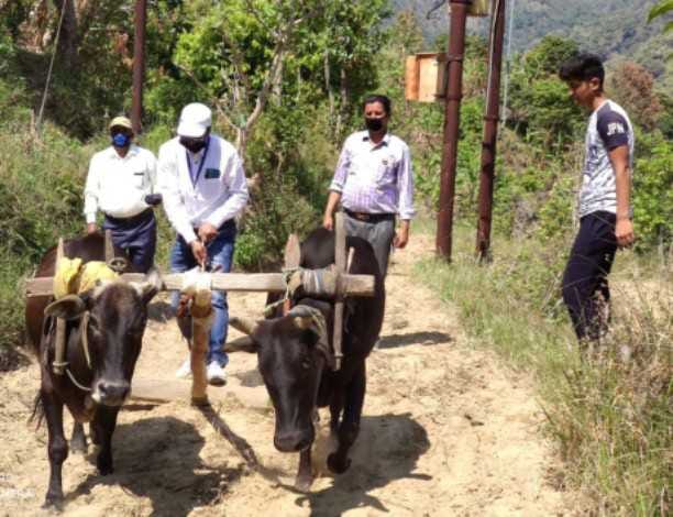 AR inaugurated the ginger farming