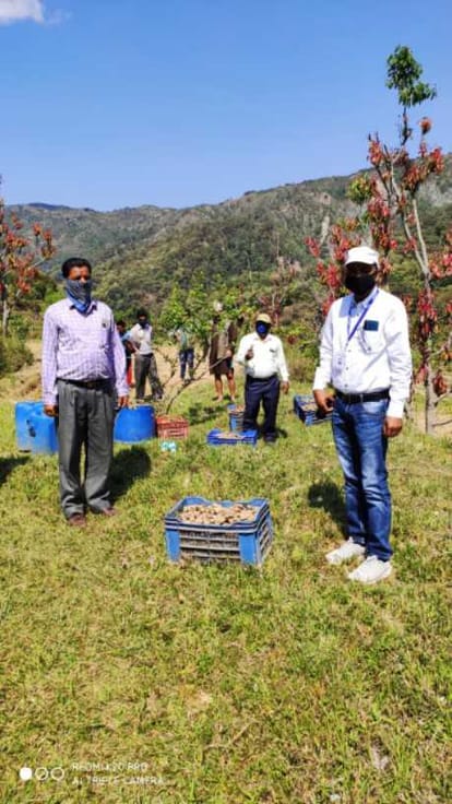 AR inaugurated the ginger farming