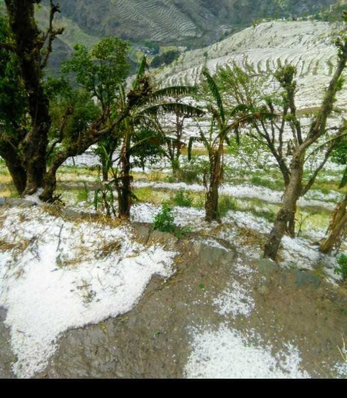 Hail snowfall in farmers, snowfall in Himalayan region