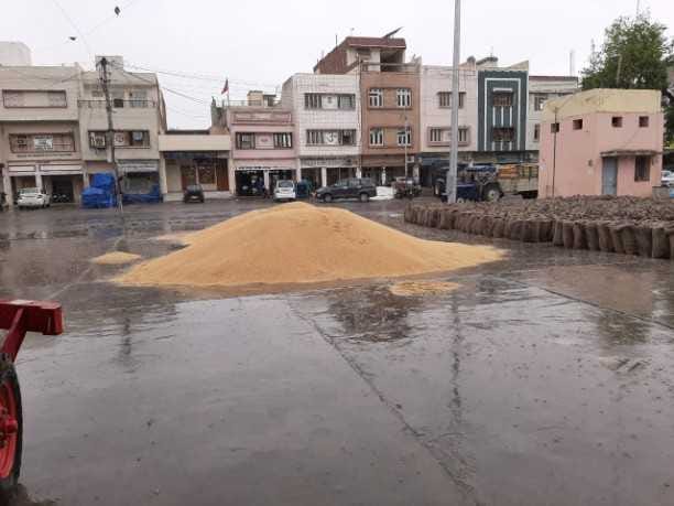 rain in sirsa