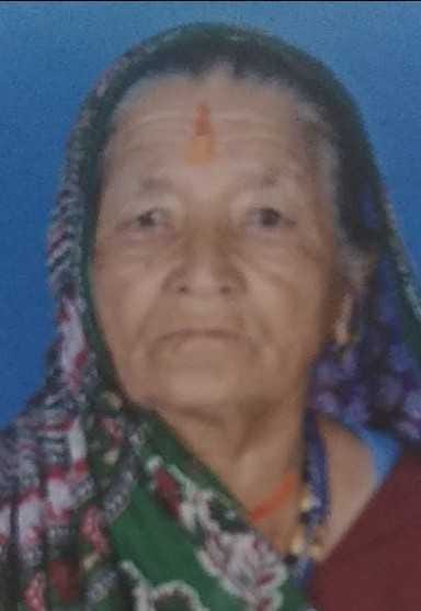 Wild pig attack on old woman, injured
