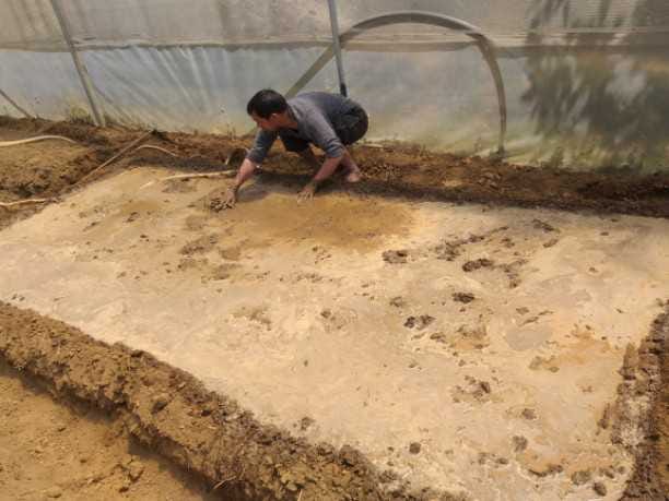 47 Percent Rabi crop harvested in Chamoawat district