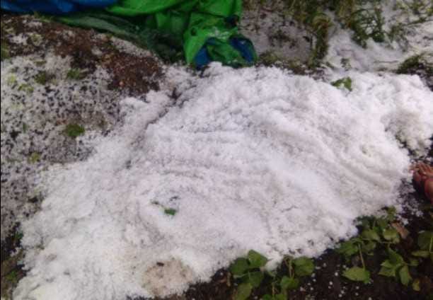 Hailstorms destroyed in Dug Nakuri Tehsil