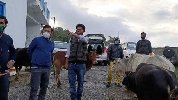 Durga Puja Committee of Ranikhet became the provider of unclaimed animals