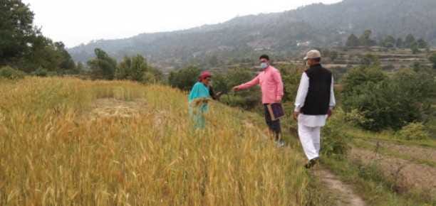 Women are also following social distancing in the fields.