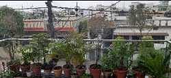 rain started at many places of dehradun.