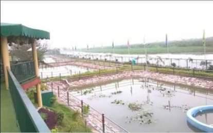 सिटी फॉरेस्ट किनारे हिंडन का दृश्यl