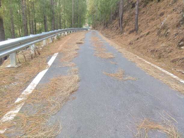 Pirul has fallen in the roads, there is a danger of forest fire, do not even report the vehicle.