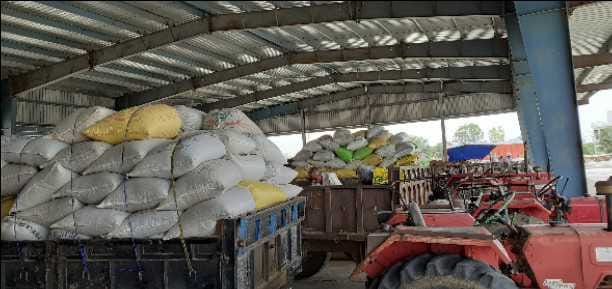 98100 MT mustard purchase in district
