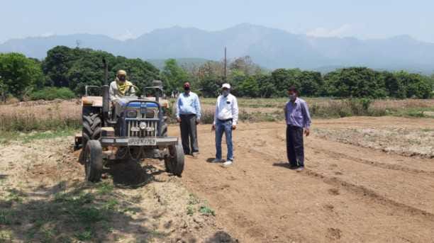 Ginger will be cultivated for the first time in Gadakhayli