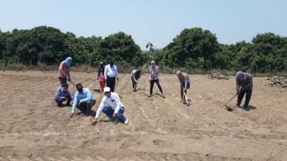 Ginger will be cultivated for the first time in Gadakhayli
