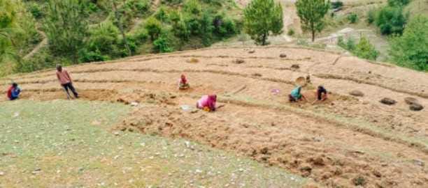 Pardesi returned home and started weaving the future