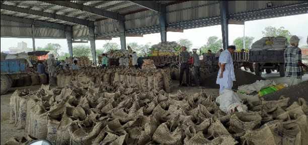 16226 MT wheat purchase in district till date