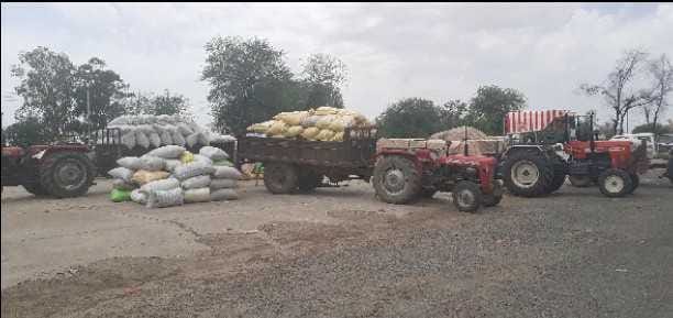 114582 MT mustard purchase in district in till date
