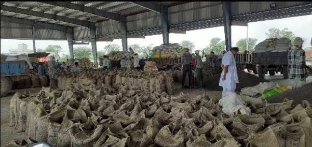 mustards shopkeeper sales records check by administration