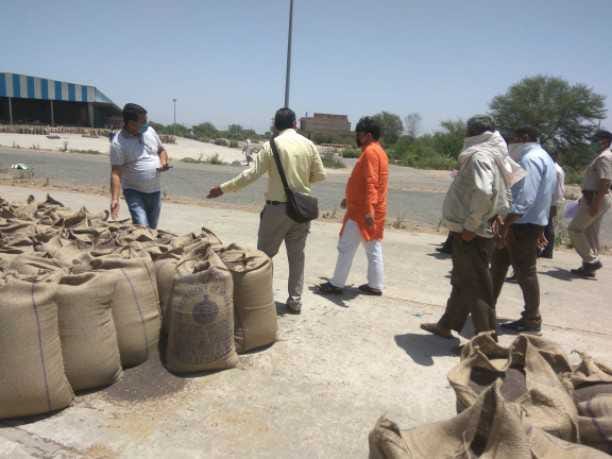 127208 MT mustard purchase in mahendra garh dist