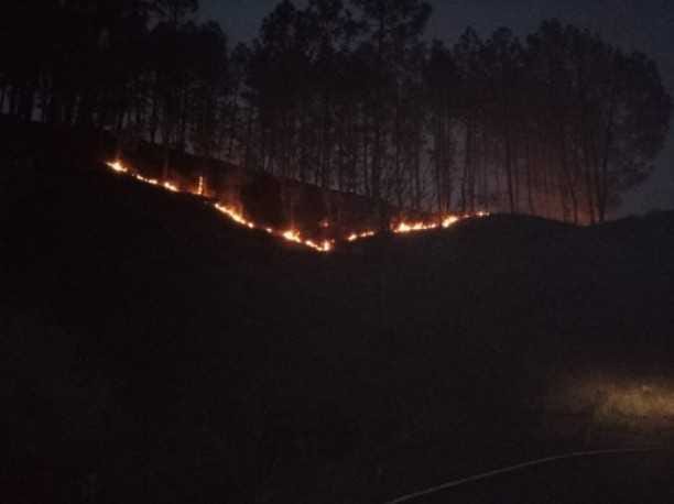 As the temperature increases, the forests of Dwarahat have started burning  ￼