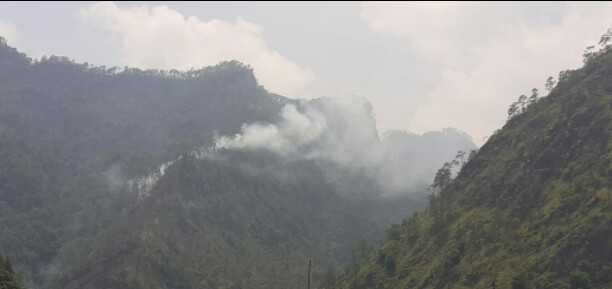Jungle of Kalinag, Riguniya and Malani region blown by fire