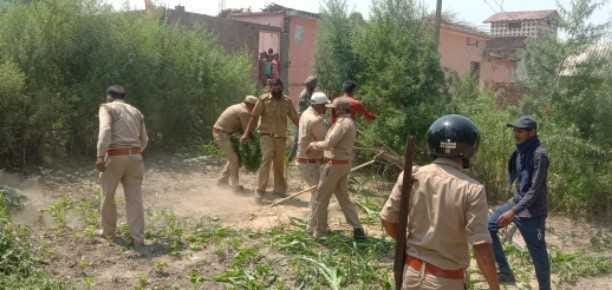 forest officials drop illegal construction on forest land