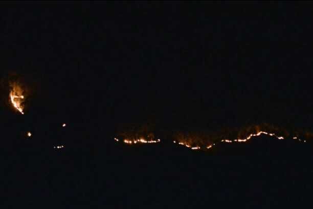 The forests of the land area kept blazing overnight