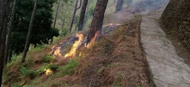Chaotic elements set fire to the pine forest.