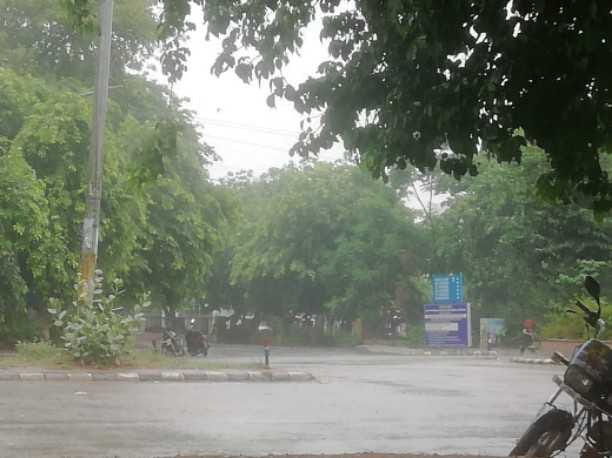 मानसून