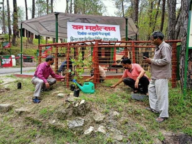 the forest gard plantation in five five villages