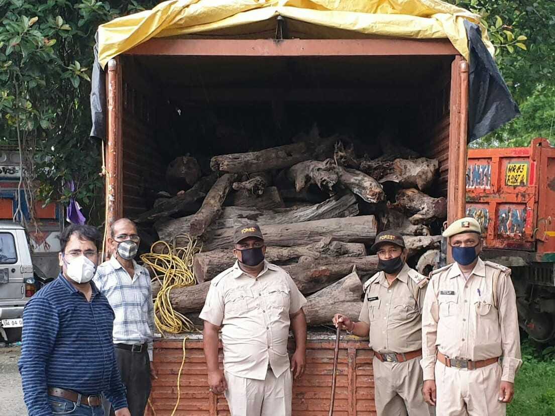 forest department seized a truck full of valuable trees trunks